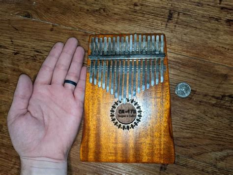 instrument metal pluck box|instruments to make in your pocket.